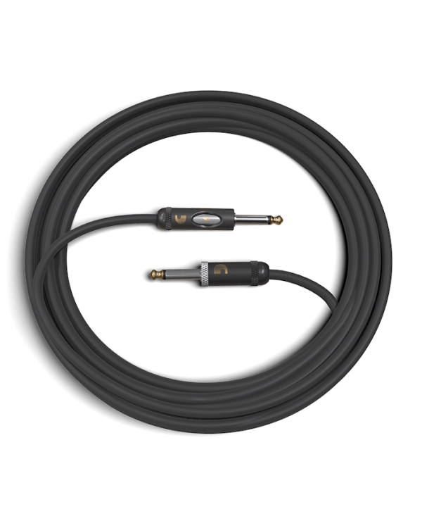 D'ADDARIO PW-AMSK-20 American Stage Kill Switch (6m)