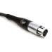 PLANET WAVES PW-M-10