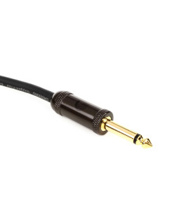 PLANET WAVES PW-AGRA-10-foto4