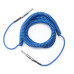 D'ADDARIO PW-CDG-30BU Coiled Instrument Cable - Blue (9m)