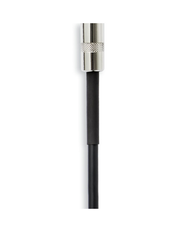 D'ADDARIO PW-CDG-30BK Coiled Instrument Cable - Black (9m)