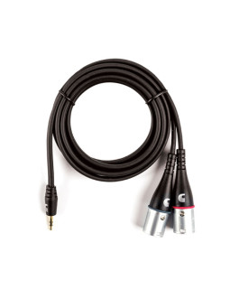 D'ADDARIO PW-MPXLR-06 Custom Series 1/8” to Dual XLR Audio Cable (1.8m)