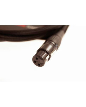 WARM AUDIO Prem-XLR-10' Кабель мікрофонний-foto3