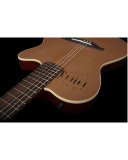 GODIN 035045 - Multiac Nylon Encore SG with Bag (Made in Canada) - Класична гітара з підключенням-foto10