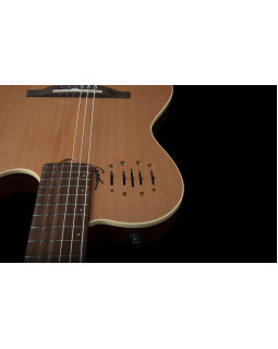 GODIN 035045 - Multiac Nylon Encore SG with Bag (Made in Canada) - Класична гітара з підключенням-foto12