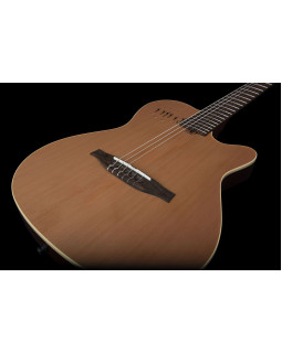 GODIN 035045 - Multiac Nylon Encore SG with Bag (Made in Canada) - Класична гітара з підключенням-foto6