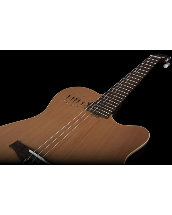 GODIN 035045 - Multiac Nylon Encore SG with Bag (Made in Canada) - Класична гітара з підключенням
