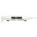 MOOG THEREMINI Синтезатор