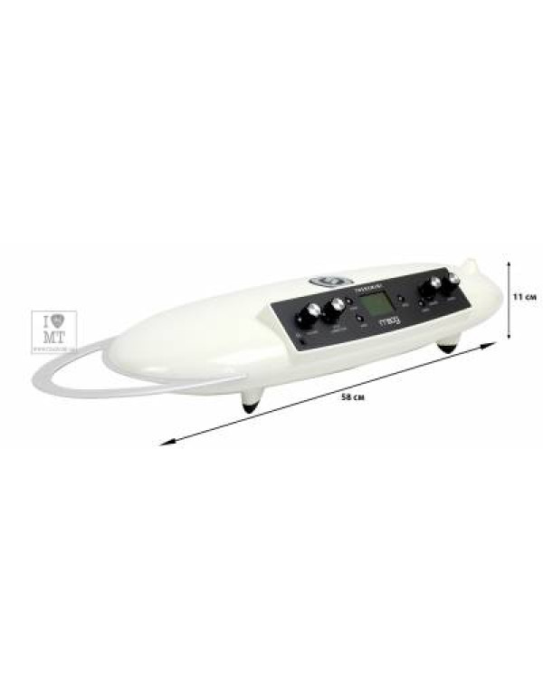 MOOG THEREMINI Синтезатор