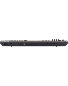 YAMAHA MX49-foto2