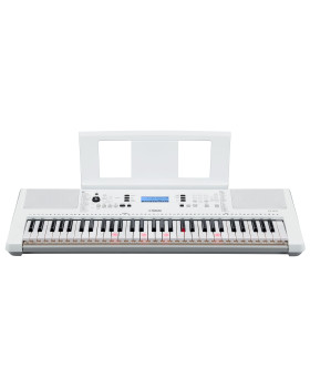 YAMAHA EZ-300-foto3
