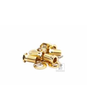 GRAPH TECH PRL-8311-G0 Electric Locking 3+3 Contemporary Gold 2 Pin Кілки для електрогітари-foto7