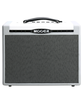 MOOER SD30