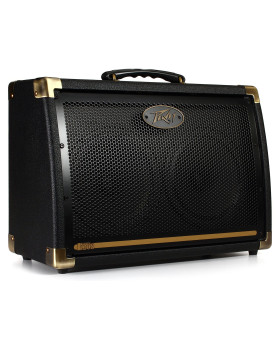 PEAVEY Ecoustic 208 Acoustic Amp Combo
