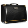 PEAVEY Ecoustic 208 Acoustic Amp Combo