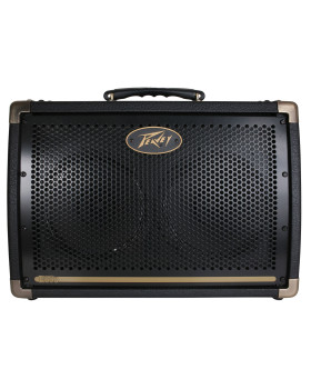 PEAVEY Ecoustic 208 Acoustic Amp Combo-foto2