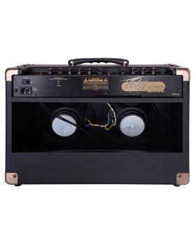 PEAVEY Ecoustic 208 Acoustic Amp Combo-foto4