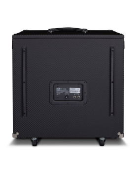 AMPEG PF-115HE-foto5