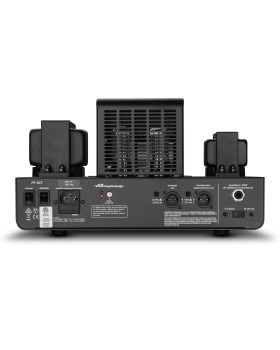 AMPEG PF-20T-foto3