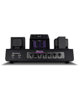 AMPEG PF-50T-foto2