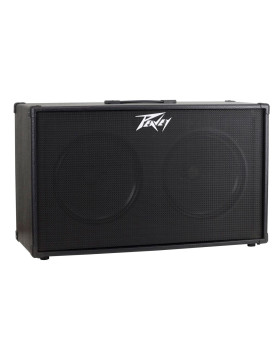 PEAVEY Peavey 212 Extension Cab-foto4