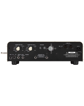 YAMAHA THR100H Dual-foto2