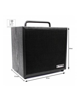IBANEZ IBZ10BV2 Бас-гітарний комбопідсилювач-foto2