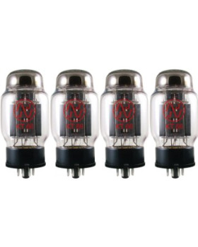 Лампа для підсилювача JJ ELECTRONIC KT66 (підібрана 4-ка)
