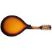 MAXTONE MGRC202