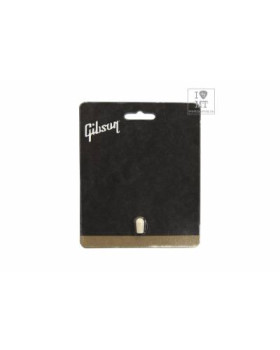 GIBSON PRTK-020 Ковпачок на перемикач-foto2