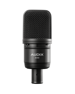 AUDIX A133