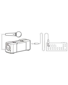 XVIVE P1-foto2
