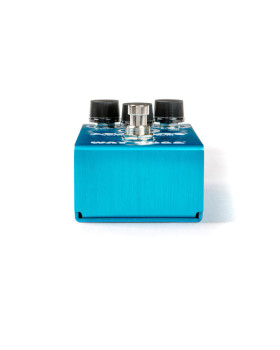 WAY HUGE SMALLS AQUA-PUSS ANALOG DELAY-foto5