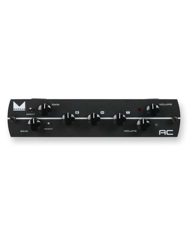 Гітарний ефект SYNERGY Morgan AC Preamp Module