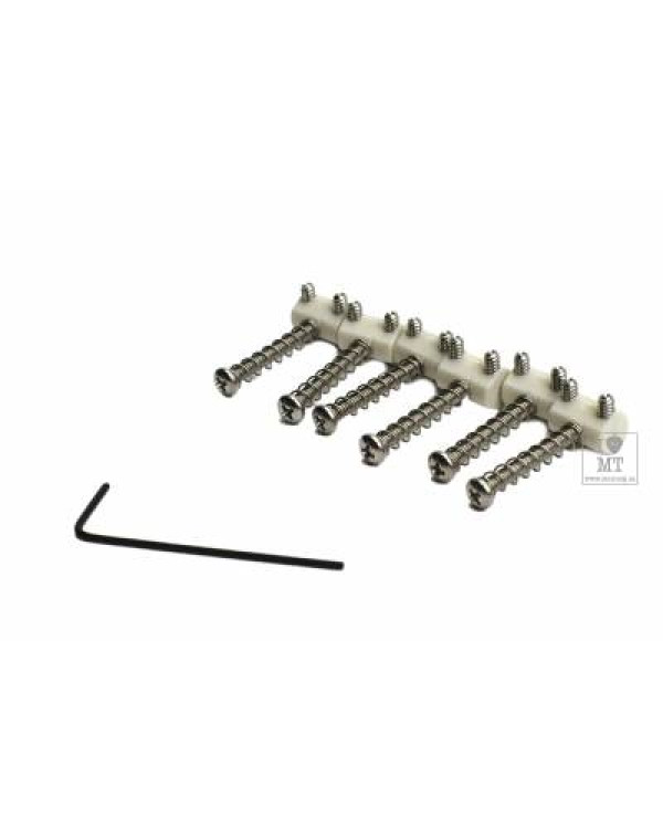 GRAPH TECH PQ-8166-00 TUSQ Saddle Barrel I.O.S. 6-Pce Tele Набір сідел для гітар