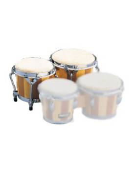 MAXTONE BC10-foto2