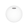 EVANS 10" G1 COATED (Old Pack)