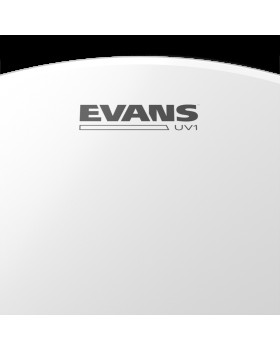 EVANS 10" UV1 COATED-foto3
