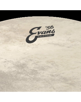 EVANS 20" CALFTONE-foto3