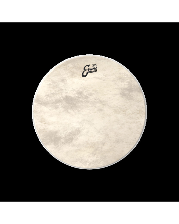EVANS 20" CALFTONE