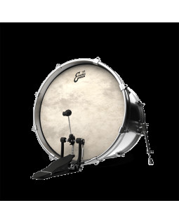 EVANS 20" CALFTONE-foto2