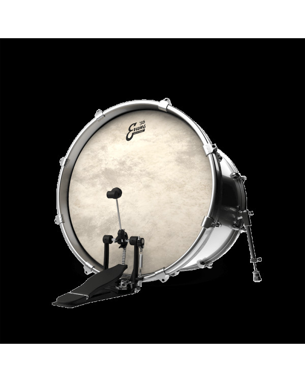 EVANS 20" CALFTONE