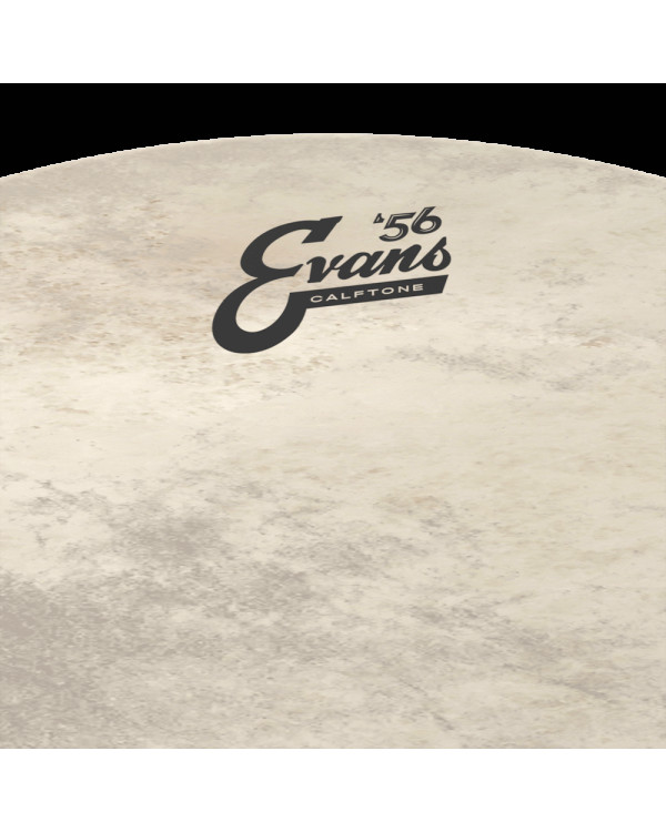 EVANS 22" CALFTONE