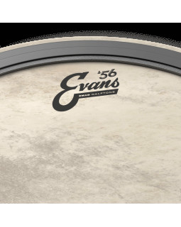 EVANS 20" EMAD CALFTONE-foto3