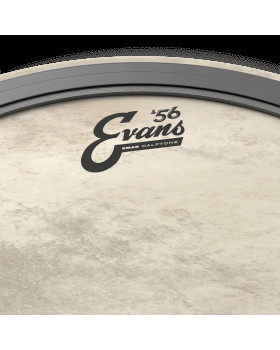 EVANS 22" EMAD CALFTONE-foto3