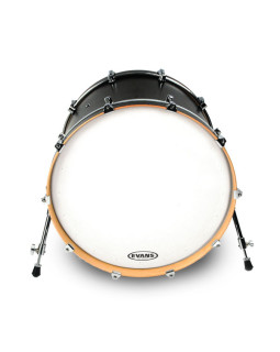 EVANS 24" EQ1 COATED WHITE-foto2
