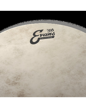 EVANS 10" CALFTONE-foto3