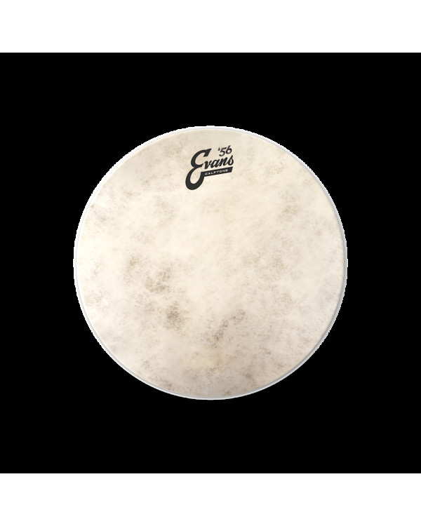 EVANS 10" CALFTONE