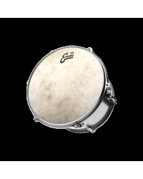 EVANS 10" CALFTONE-foto2
