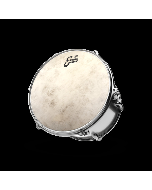 EVANS 10" CALFTONE